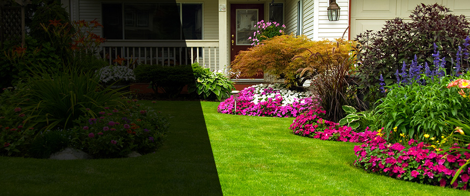 Walls Landscapers