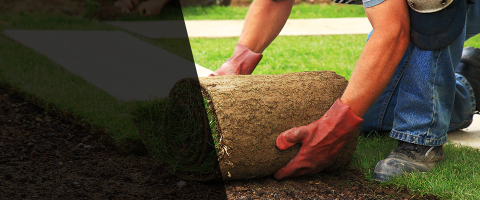 Walls Landscapers